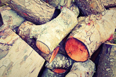 Trinant wood burning boiler costs